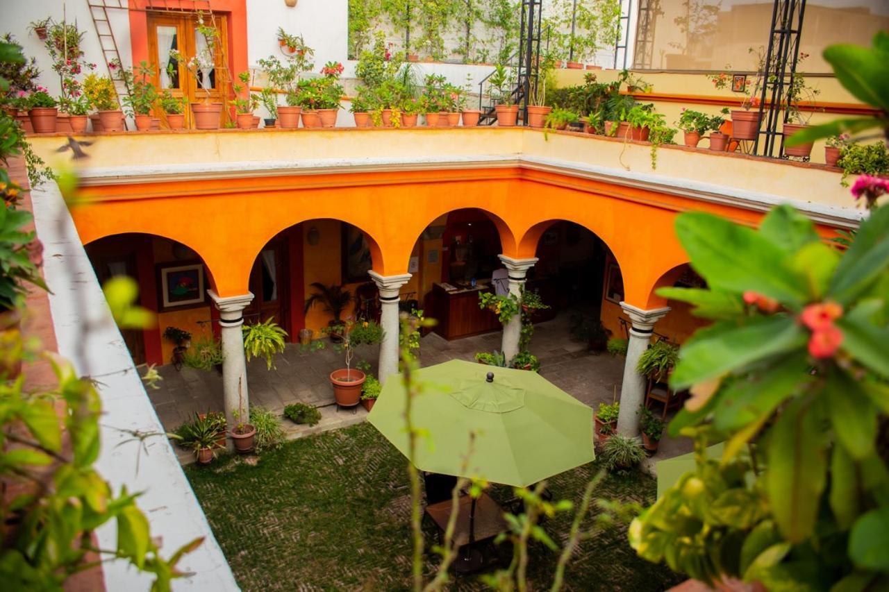 Los Arrayanes Oaxaca Exterior photo